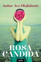 Rosa candida-2